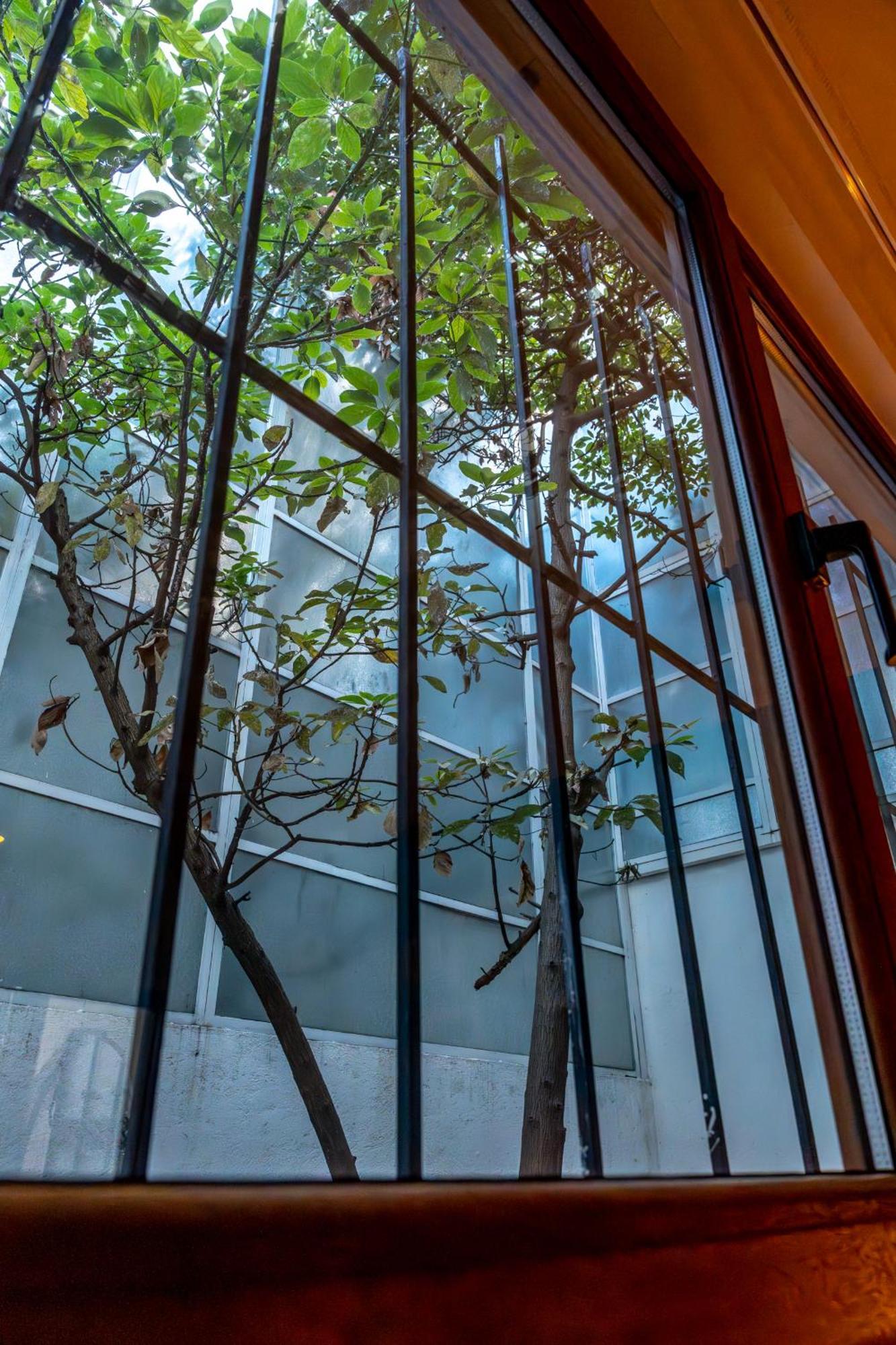 Nokal Exclusive Stay Meksika Dış mekan fotoğraf