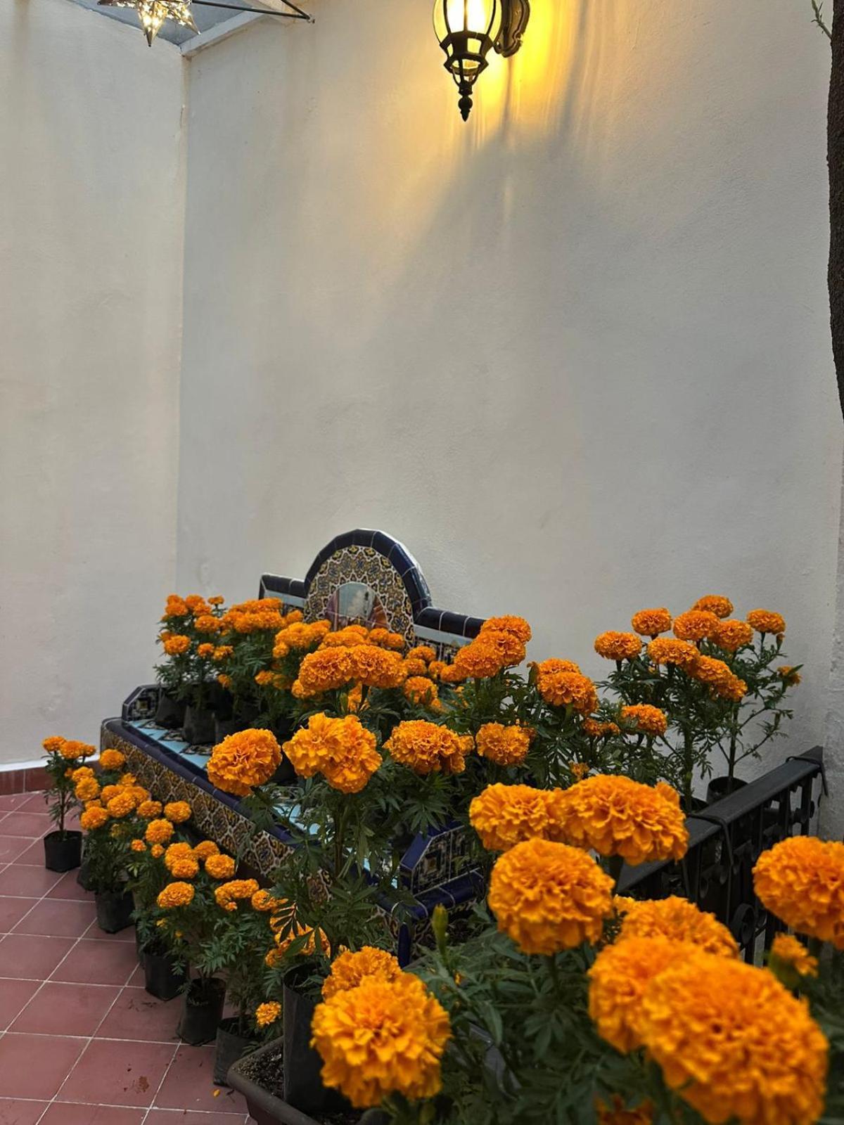 Nokal Exclusive Stay Meksika Dış mekan fotoğraf